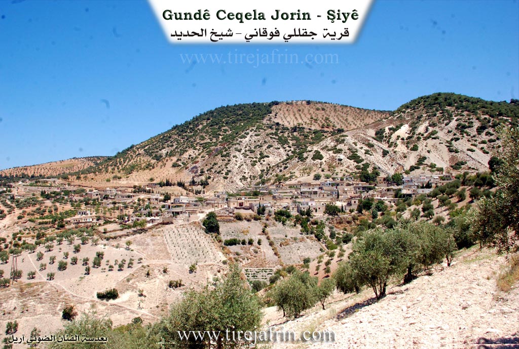 Photo of Çeqelê Jorin